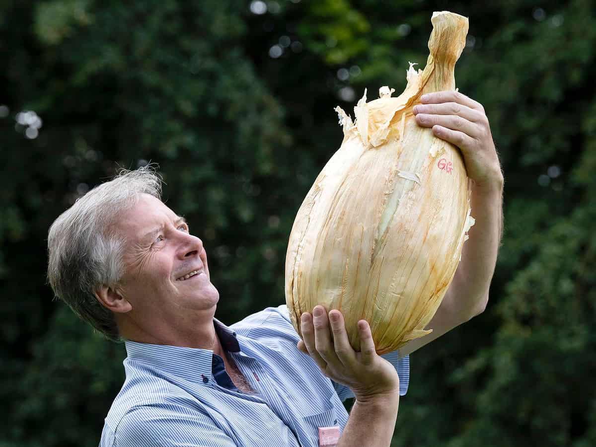 Giant onion weighing nearly 9kg set to break world record