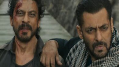 Budget of Shah Rukh and Salman's Tiger Vs Pathaan is Rs...