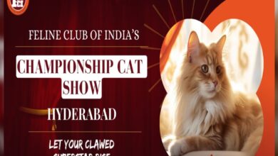 Biggest cat show in Hyderabad: Date, tickets and venue
