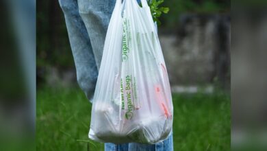 Dubai bans single-use plastic bags from Jan 1, 2024