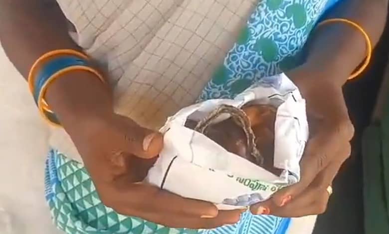 Pregnant woman finds snake carcass in AP govt’s nutrition kit