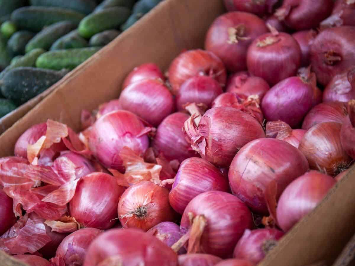 India bans onion exports till March 2024