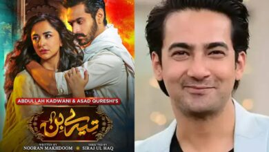 Popular actor calls hit Pakistani drama 'Tere Bin' as 'Dust Bin'