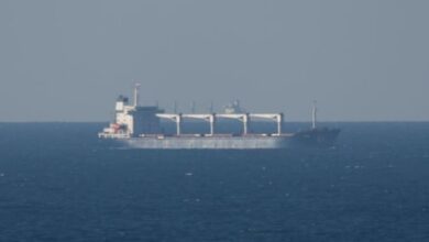 Turkish cargo ship with 12 crew sinks off Black Sea coast