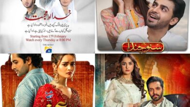 Tere Bin to Humasafar: List of 12 most popular Pakistani OSTs