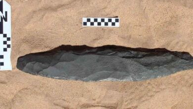 Over 200,000-year-old hand axe discovered in Saudi Arabia