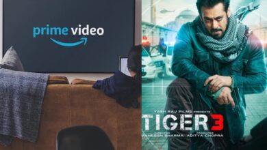 Salman Khan's Tiger 3 Amazon Prime release date locked?
