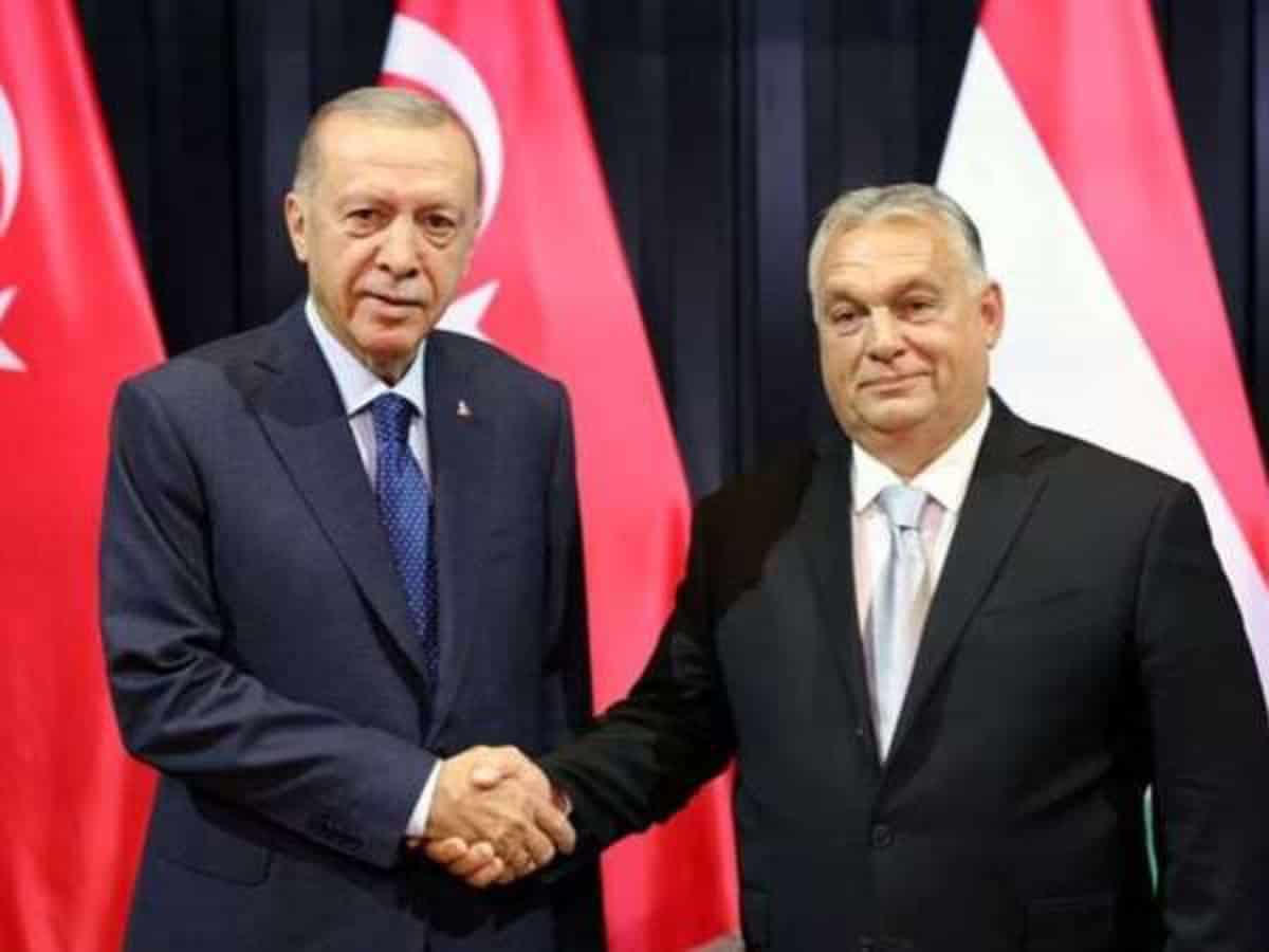 Hungary, Turkey elevate bilateral ties to 'priority strategic' level