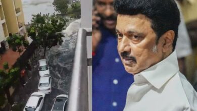 Cyclone Michaung: TN CM Stalin announces Rs 6,000 relief to affected