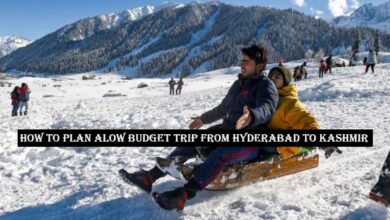 Kashmir Calling! A budget-friendly guide for Hyderabad travelers