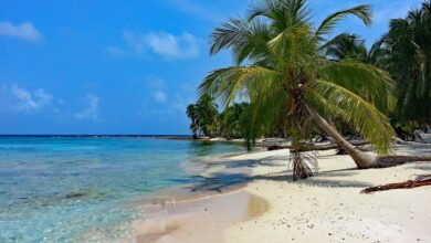 Know list of India's best beaches amid Lakshadweep vs Maldives row