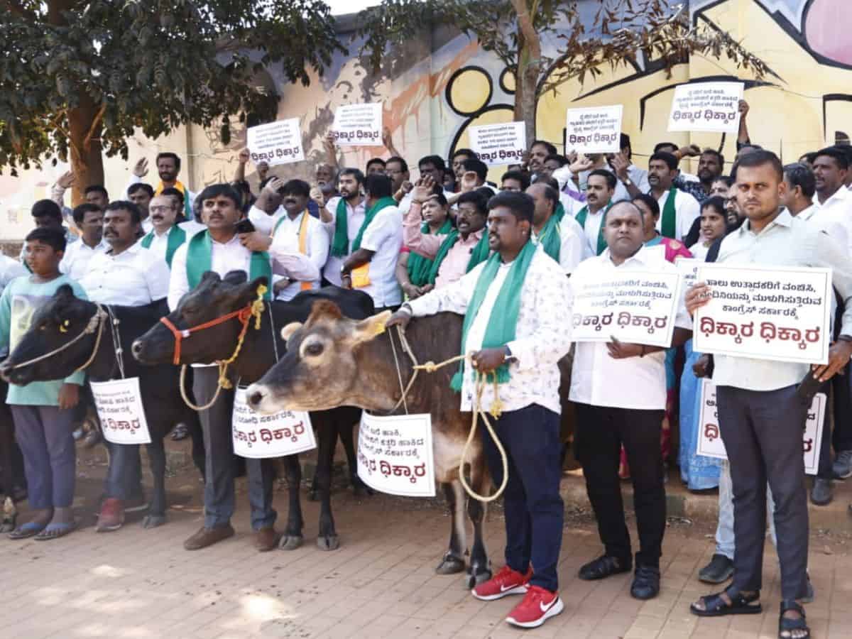 BJP stages protest against 'anti-cow' Congress govt in Karnataka
