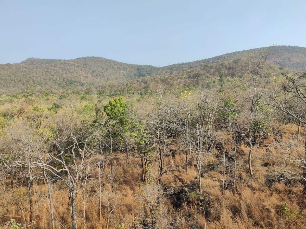 _Nagarjunasagar Srisailam Tiger Reserve