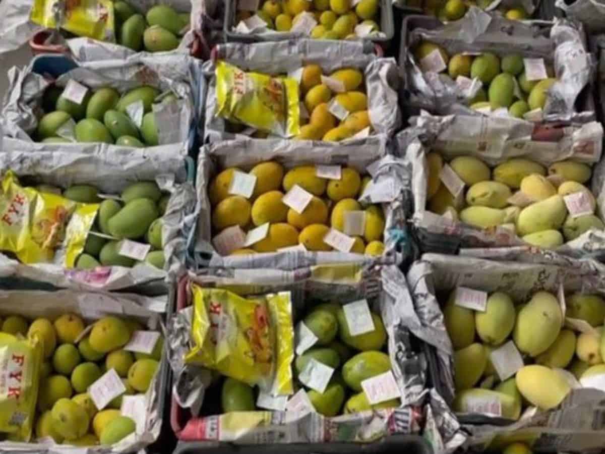 Hyderabad: Artificial mangoes worth Rs 3 lakh seized, two arrested