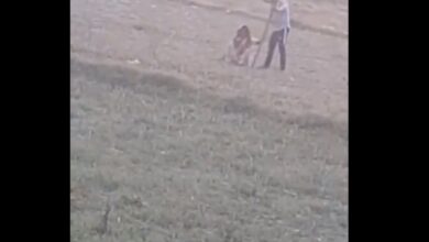UP: Elderly Dalit assaulted after goat strays into man's field