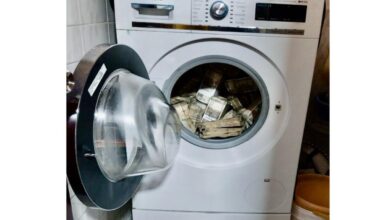 ED finds Rs 2.54 cr cash in washing machine during raids on Capricornian shipping