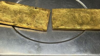 Delhi: Flyer smuggles 1200 grams of gold from Dubai, held