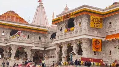 Ayodhya administration establishes quarantine wards for foreign visitors ahead of Ram Navami (pti)