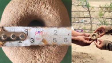 Archaeology enthusiasts have discovered a six thousand years old Neolithic stone ring in Bhupathipur village of Eturunagaram mandal in Mulugu district.