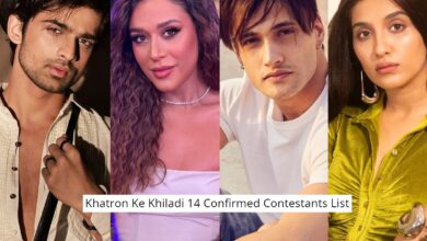 Khatron Ke Khiladi 14: All 11 confirmed contestants with photos
