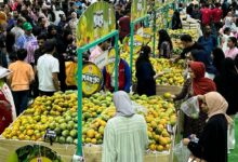 Doha: Over 126,000 kg of Indian mangoes sold in 10 days