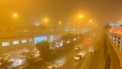 Saudi Arabia: Sandstorms hit record low for May in 20 years
