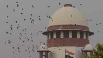 SC flags ‘victim invited trouble’ remark by Allahabad High Court