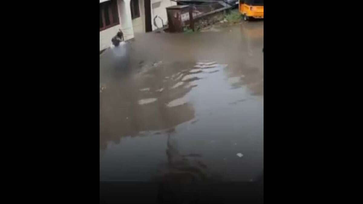 A man saves a minor boy from electrocution in Chennai