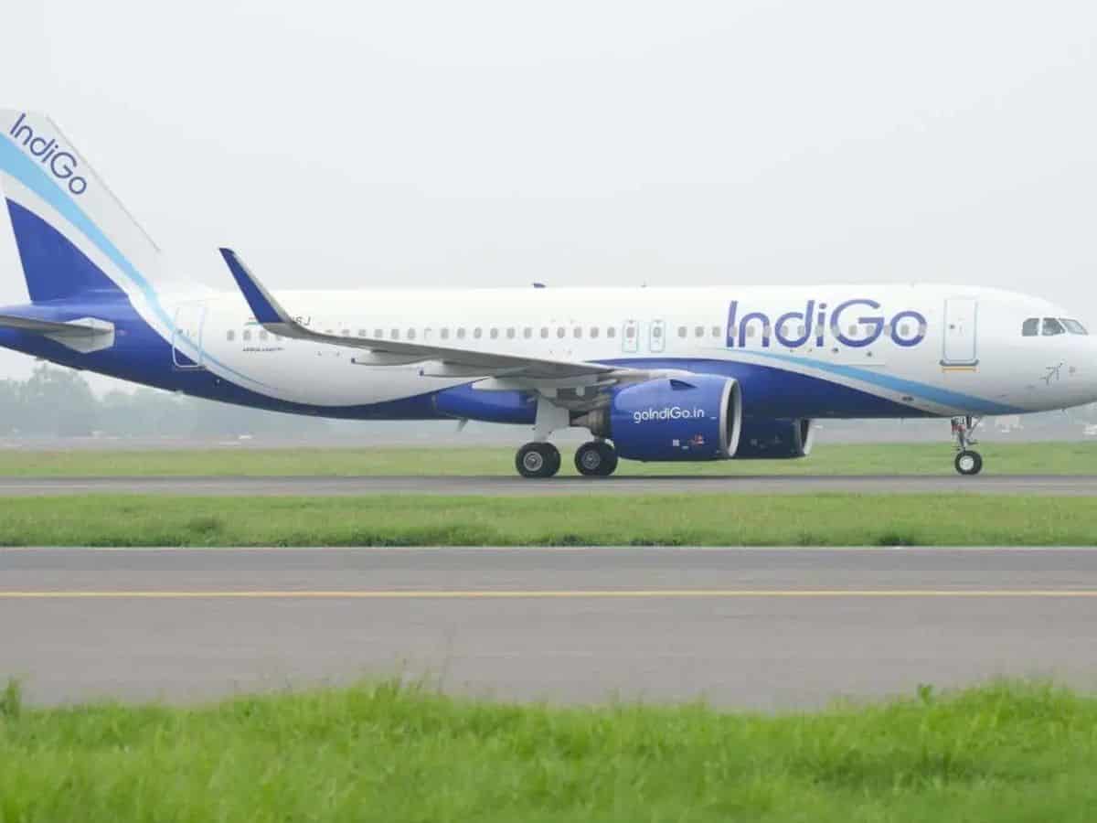Indigo