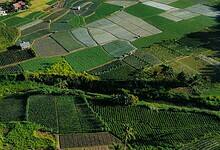 Prime open plots in Hyderabad to go for auction.