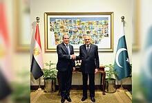 Egyptian and Pakistani foreign ministers shake hands in Islamabad with national flags behind them.