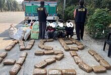 NCB seizes 813 kg ganja in Hyderabad