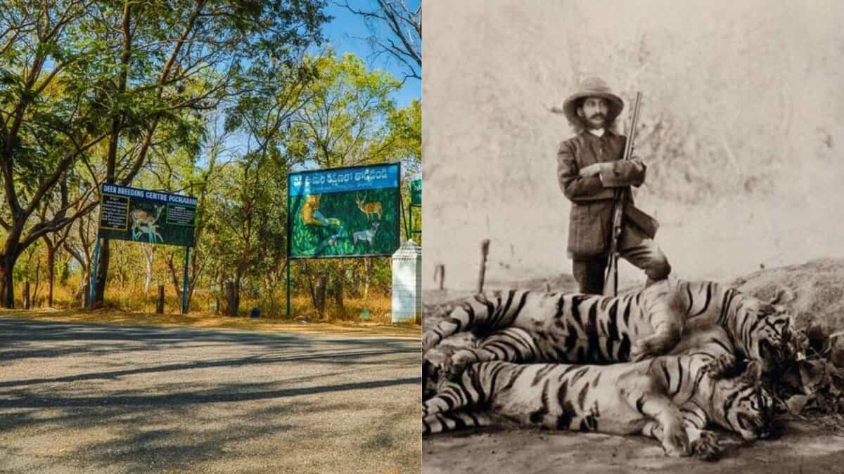 Visit 6th Nizam's favourite hunting spot, 3 hours from Hyderabad