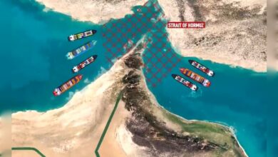 Map showing Strait of Hormuz with shipping routes and highlighted restricted zone.