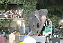 Hyderabad traffic curbs for elephant trial walk from Bibi-ka-Alawa