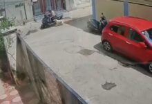 Old Malakpet residents urge GHMC to curb stray dog menace