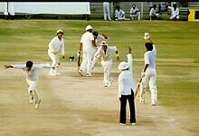 Cricket players celebrating on the pitch during a match at The Siasat Daily event.