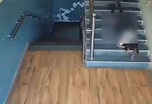 Student falls on staircase in school