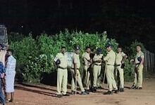 Group of police officers and civilians gathered near bushes during night time.