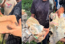 Saharanpur mosque demolition