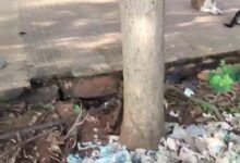 Torn currency notes found outside Central Park in Visakhapatnam