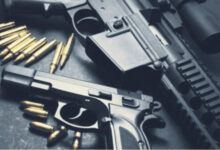 Handgun, rifle, and bullets displayed on a table, related to gun licensing verification.